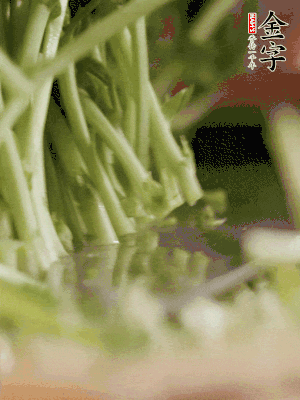 新鮮豌豆苗割下洗凈。